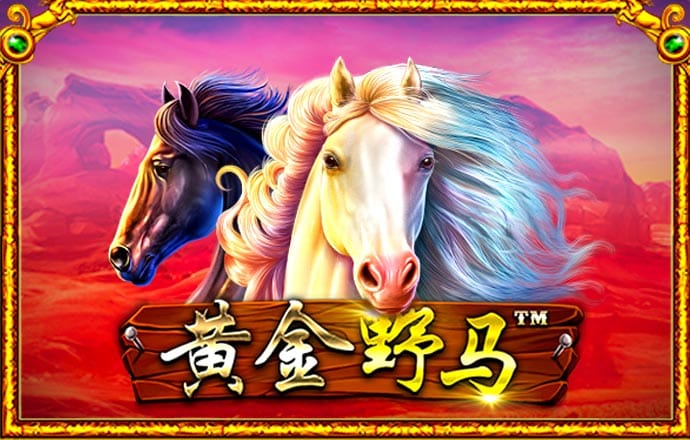 必赢体育官网网站